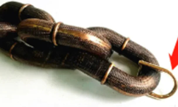 Heavy Duty Metal Chain Dog Leash