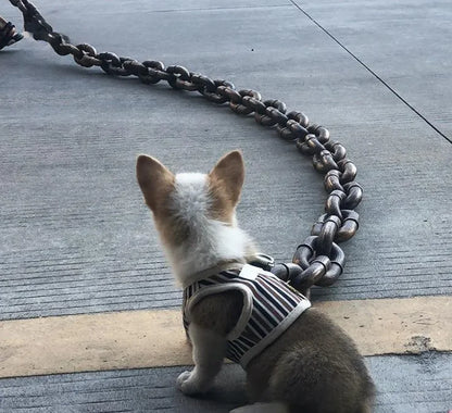 Heavy Duty Metal Chain Dog Leash