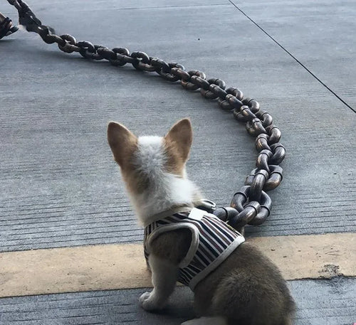Heavy Duty Metal Chain Dog Leash