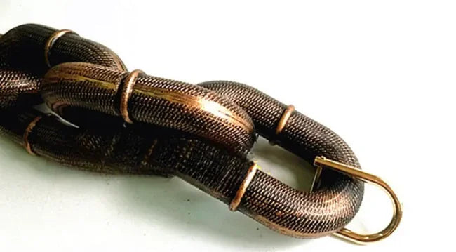 Heavy Duty Metal Chain Dog Leash