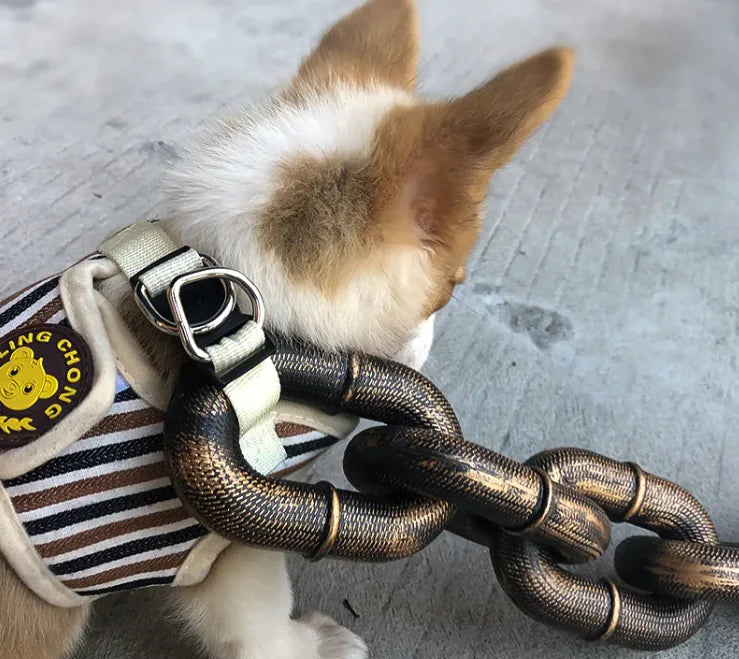 Heavy Duty Metal Chain Dog Leash