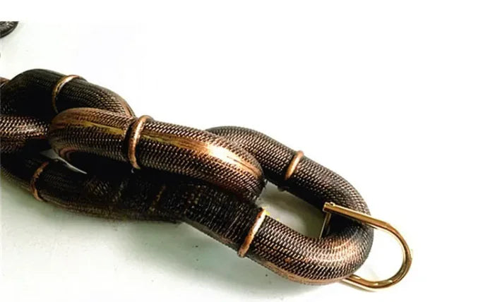 Heavy Duty Metal Chain Dog Leash