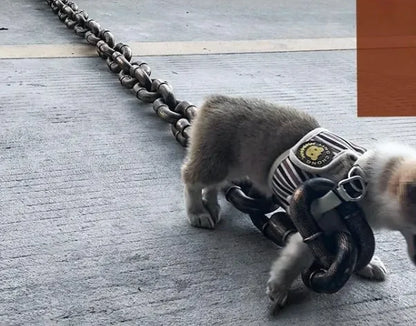 Heavy Duty Metal Chain Dog Leash